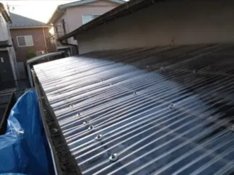 屋根に使用されているポリカ